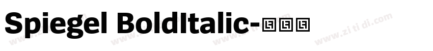 Spiegel BoldItalic字体转换